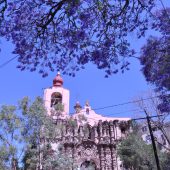  Guanajuato, Mexico 2009